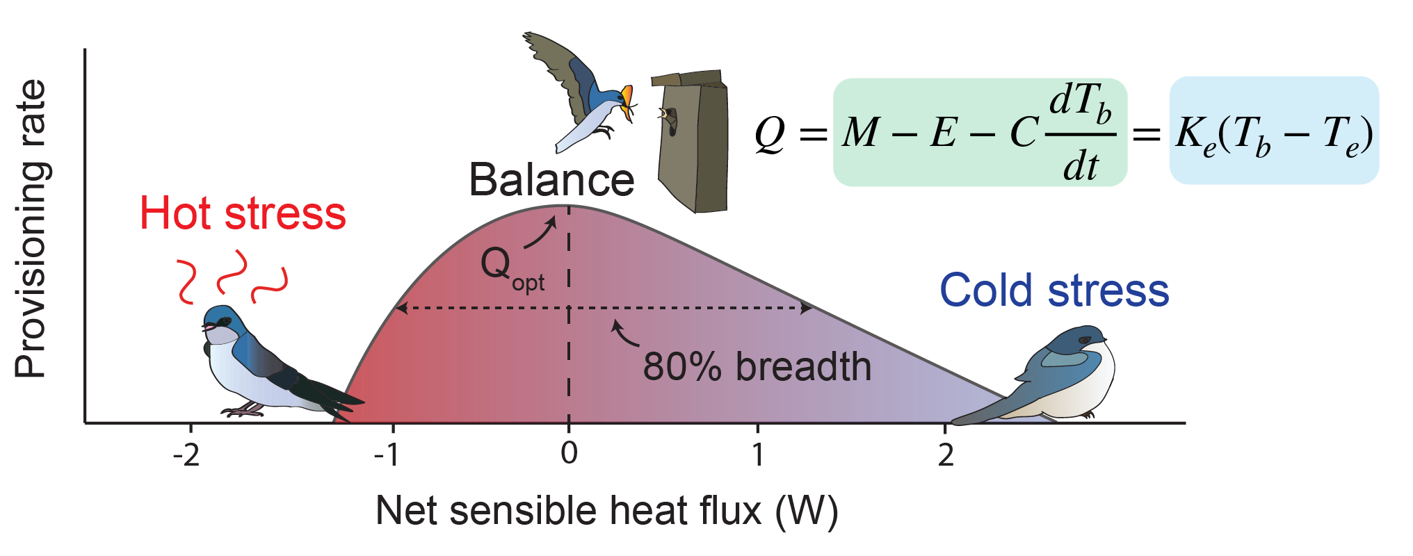 Endotherm thermal performance curve illustration