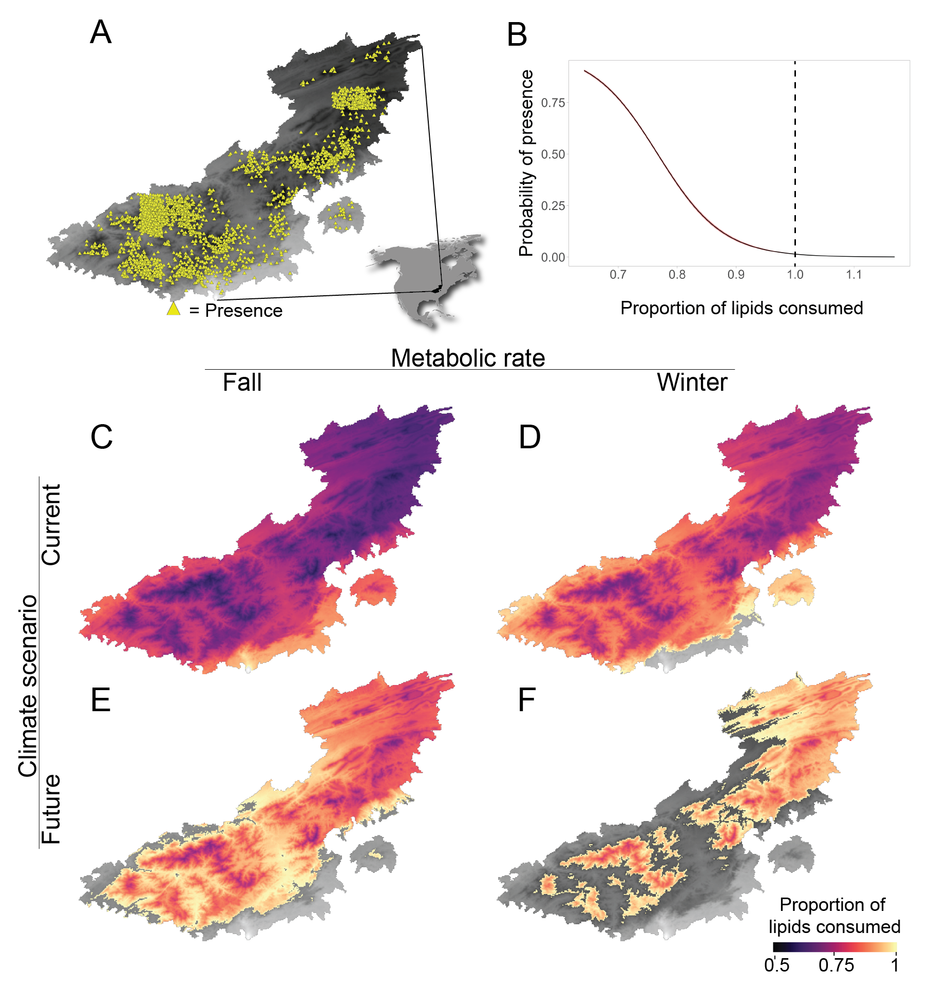 Winter warming and salamander habitat loss