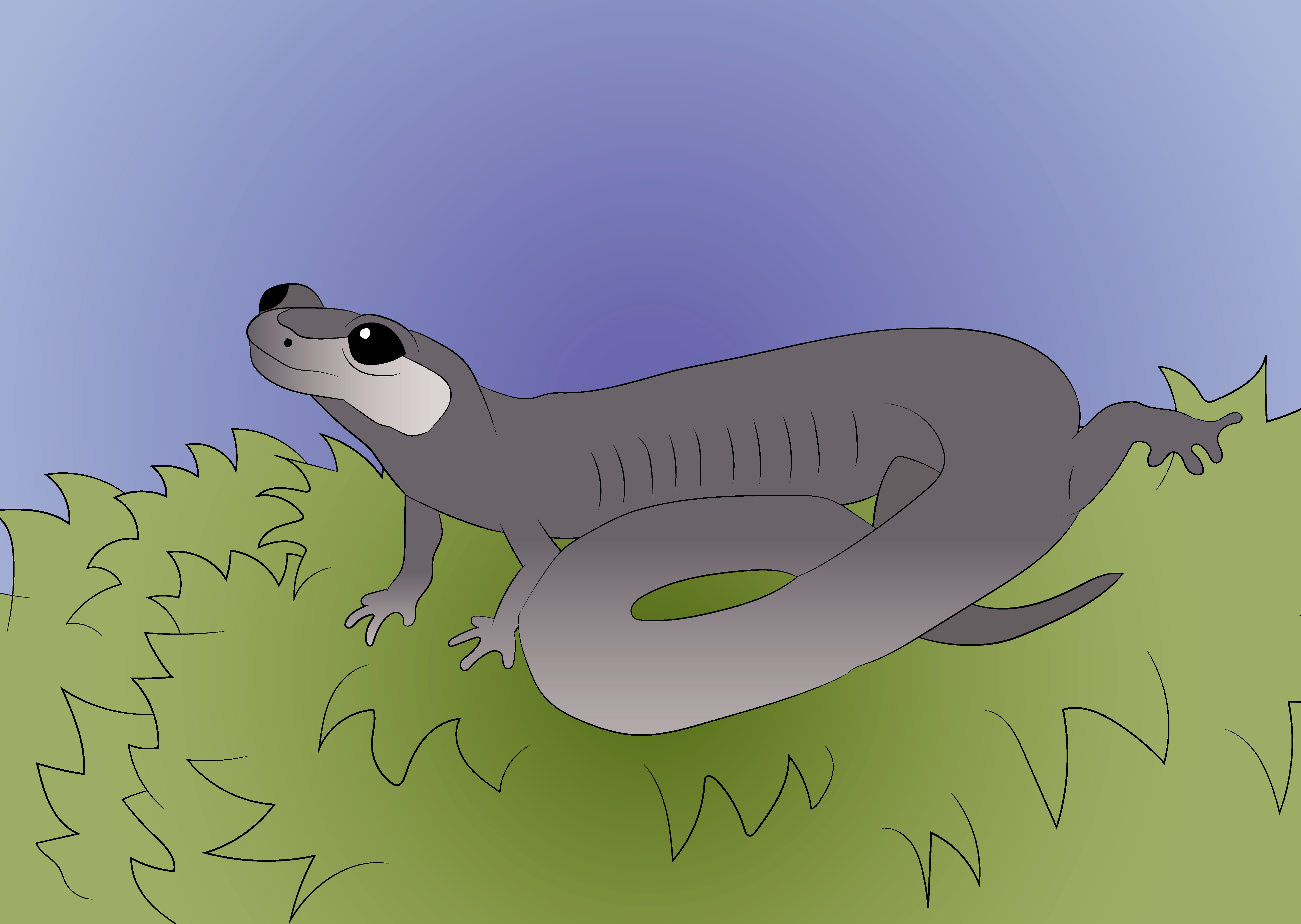 Metabolic rate and water loss illustration